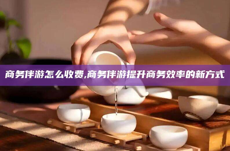 沙河商务伴游怎么收费,商务伴游提升商务效率的新方式